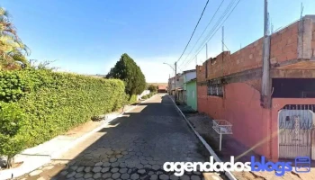 Cogumelo Do Sol - São Sebastião Da Bela Vista - Mg