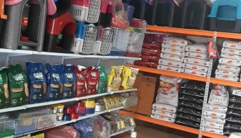 Drogaria Darcino - - Vila Itajuba