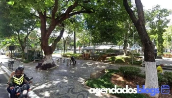 Drogaria Jara - 555 - Centro