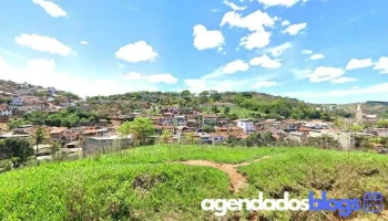 Drogaria Santa Tereza - 87 - São Pedro Dos Ferros