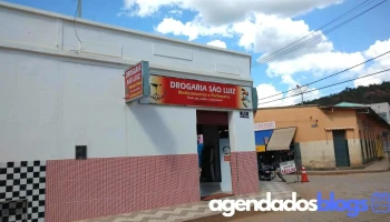 Drogaria São Luiz - R. Vicente Gonçalves