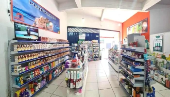 Drogaria Super Popular - 205 - Árvore Grande