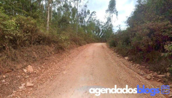 Drogasil Estrela - São Bento Abade - Mg