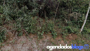 Farmácia Jaguara - São José Do Vale Do Rio Preto