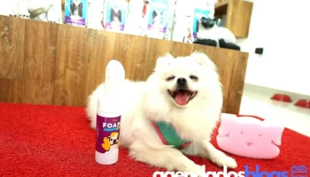 Vetz Farmácia de Manipulação Veterinária - Alfenas