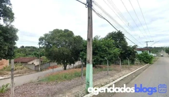 Viviane Gonzaga de Azevedo - 555