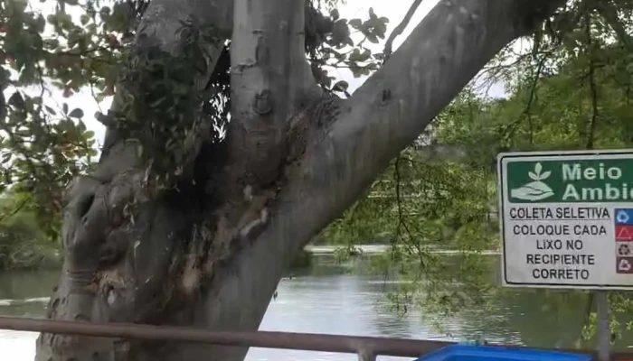 Casa De Saude E Maternidade Santa Monica Videos - Santo Antônio De Pádua