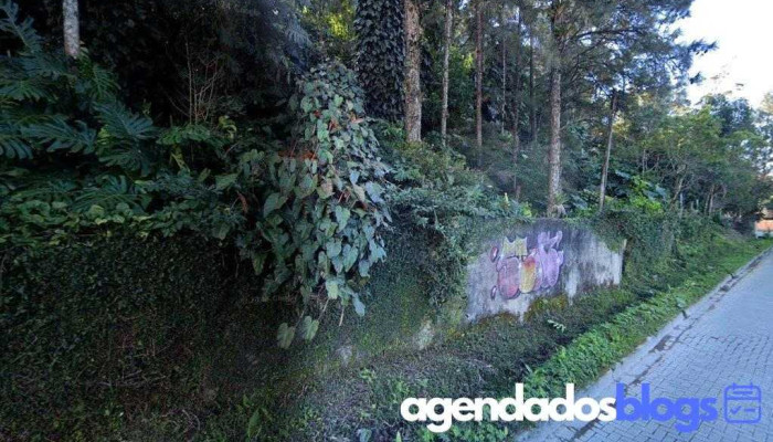D'Guis Farma Farmácia e Perfumaria - Petrópolis