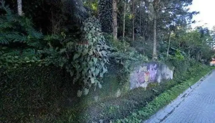 Dguis Farma Farmacia E Perfumaria Tudo - Petrópolis