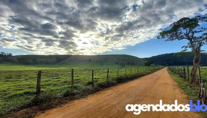 Droga Mais Brasil - Lorena - Tocantins - Mg
