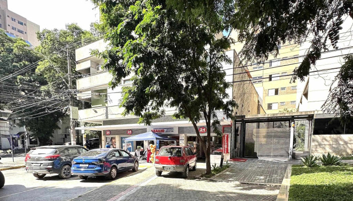 Drogaria Araujo -    Lourdes Belo Horizonte - Belo Horizonte