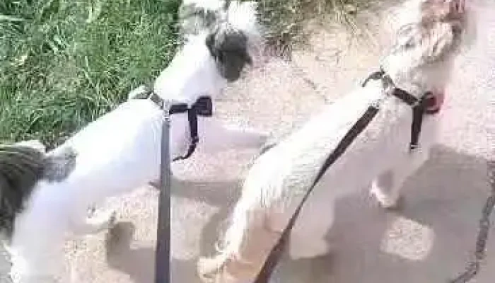 Drogaria Brasil Ponte da Aldeia - Manhuaçu