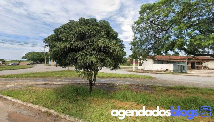Drogaria Cristina - Nova Pirapora - 20 - Nova Pirapora