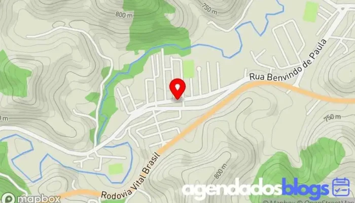 mapa de Drogaria Cruzeiro Empresa farmacêutica, Drogaria, Farmácia em Lima Duarte