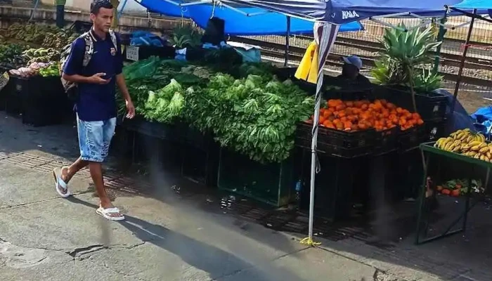 Drogaria Da Estacao Tudo - Juiz De Fora