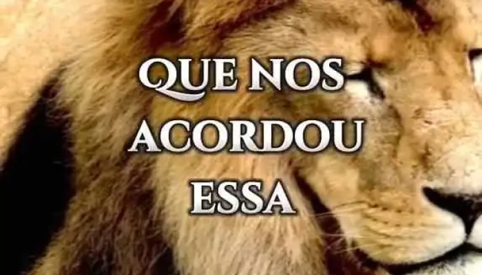 Drogaria Raia -  Videos - São Gonçalo