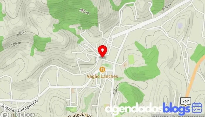 mapa de Drogaria Vida & Saúde - Rede Inova Farmácia em Lima Duarte