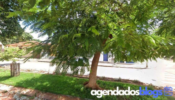 Duarte, Betoni E Costa - 209 - Centro