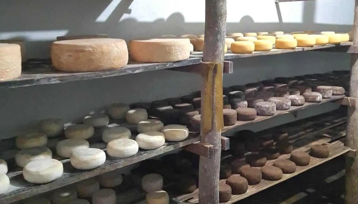 Duvale Queijos Entre Em Contato Para Visitar Nossa Fazenda Interior - Valença