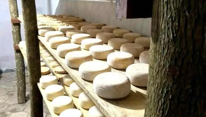 Duvale Queijos Entre Em Contato Para Visitar Nossa Fazenda Queijo - Valença