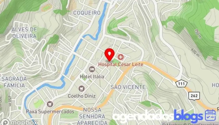 mapa de Farmácia Homeopática Chamomilla Farmácia de homeopatia em Manhuaçu