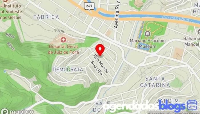 mapa de FARMACIA/DROGARIA NOVAPHARMA - DEMOCRATA, COND. SPAZIO REAL, SANTA CATARINA, JARDIM GLORIA, VALE DO IPE Drogaria em Juiz de Fora