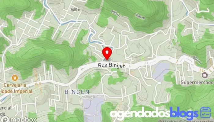 mapa de Farmais Petropolis Bingen Empresa farmacêutica, Drogaria, Farmácia em Petrópolis
