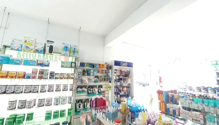Farmavida Papagaio Street View E 360deg - João Pinheiro
