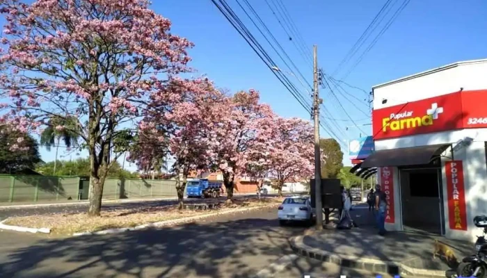 Popular Farma -  Tudo - Araguari