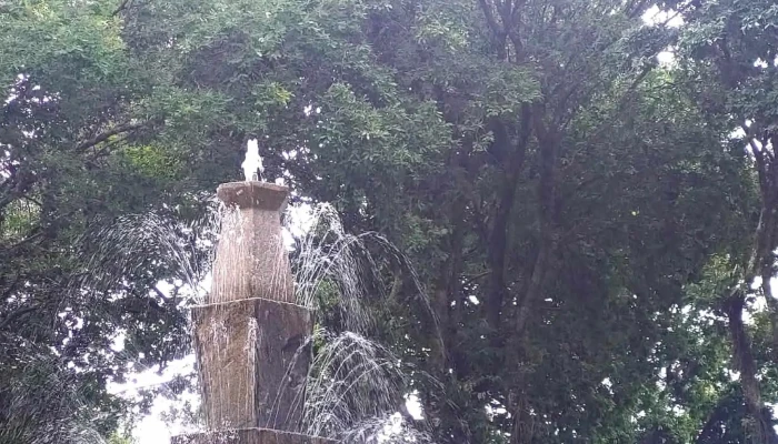 Praca Xv De Novembro   Jardim De Baixo Numero - Valença