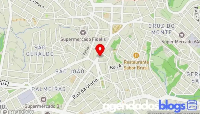 mapa de Thaís Aracele Sousa Silva Drogaria em Bom Despacho