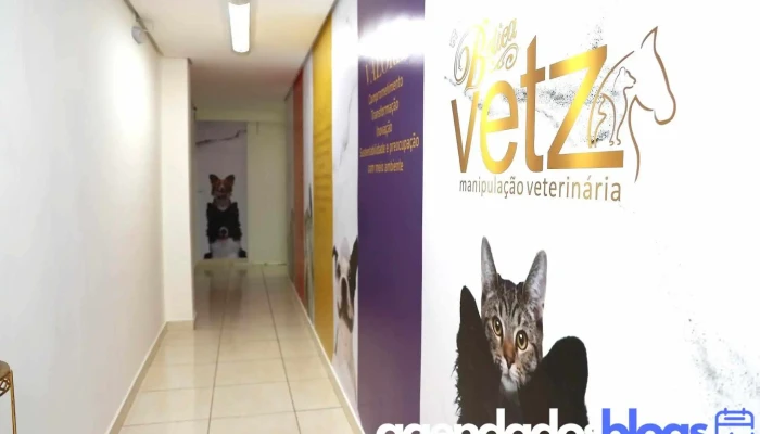 Vetz Farmacia De Manipulacao Veterinaria Gato - Alfenas