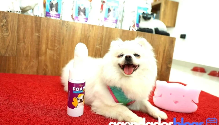 Vetz Farmacia De Manipulacao Veterinaria Tudo - Alfenas